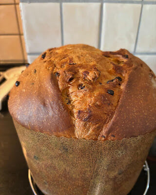 ***panettone con uvetta e gocce di cioccolato***