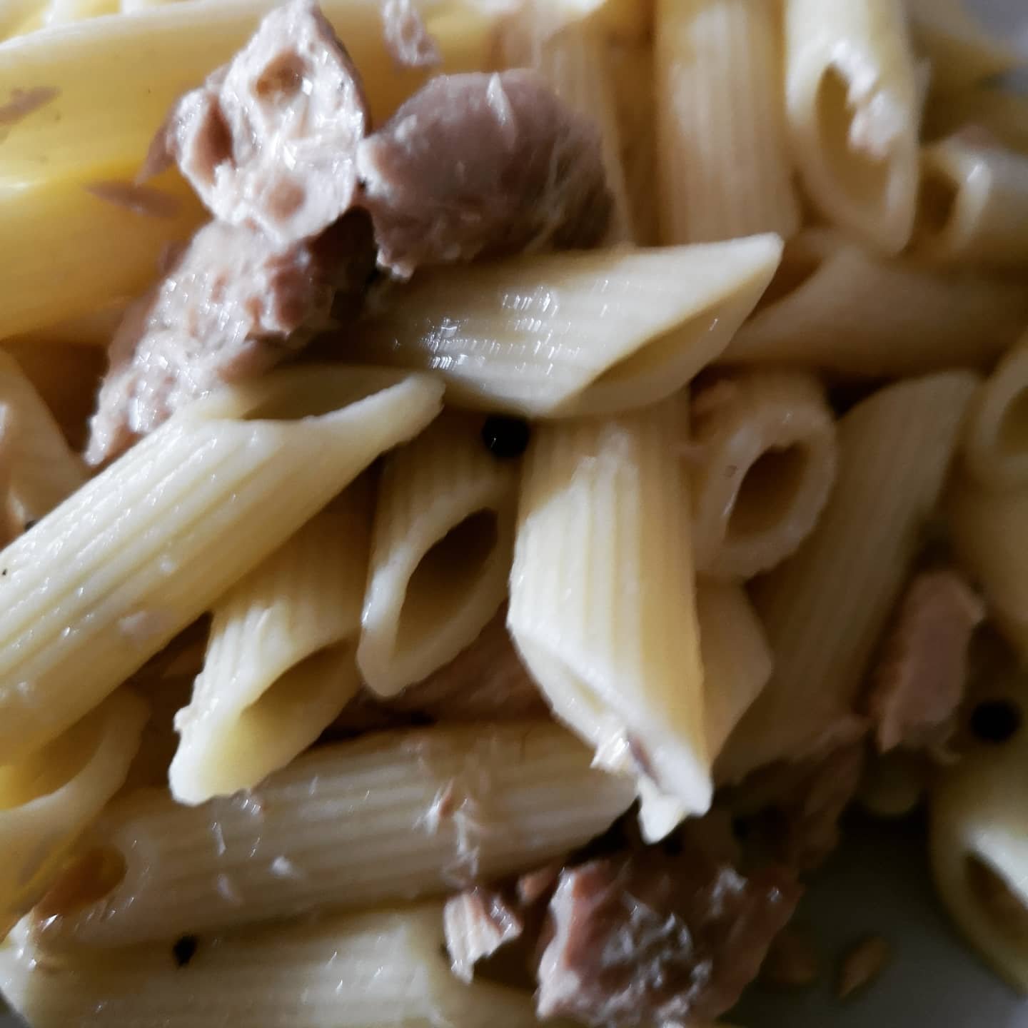 Pasta allo sgombro