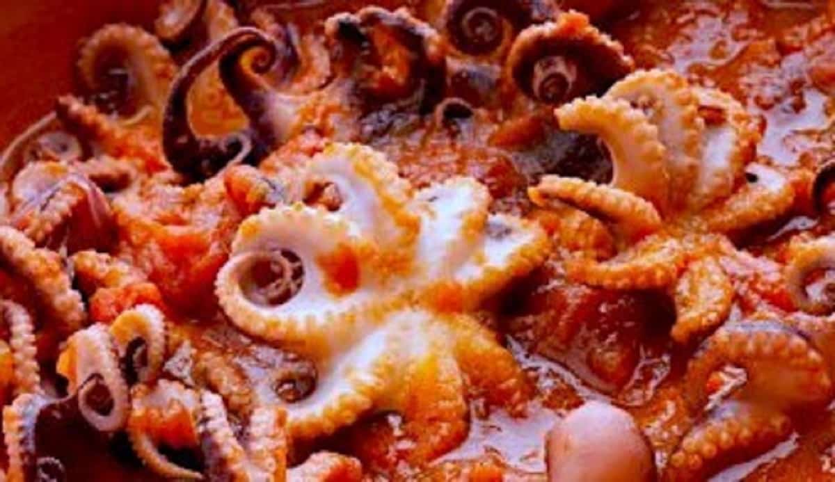 Polipetti alla luciana