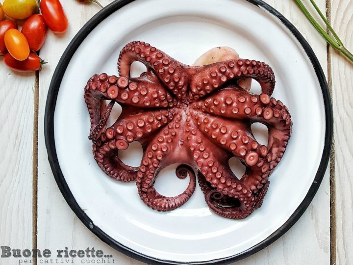 Polpo pentola a pressione