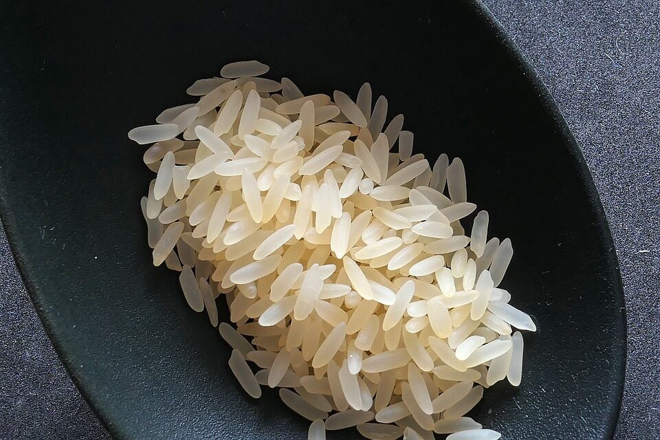Ricette con il riso