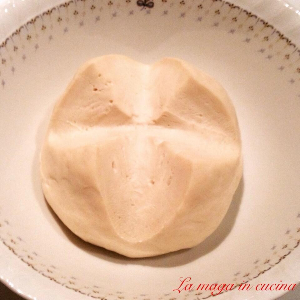 Rinfresco e mantenimento del lievito madre