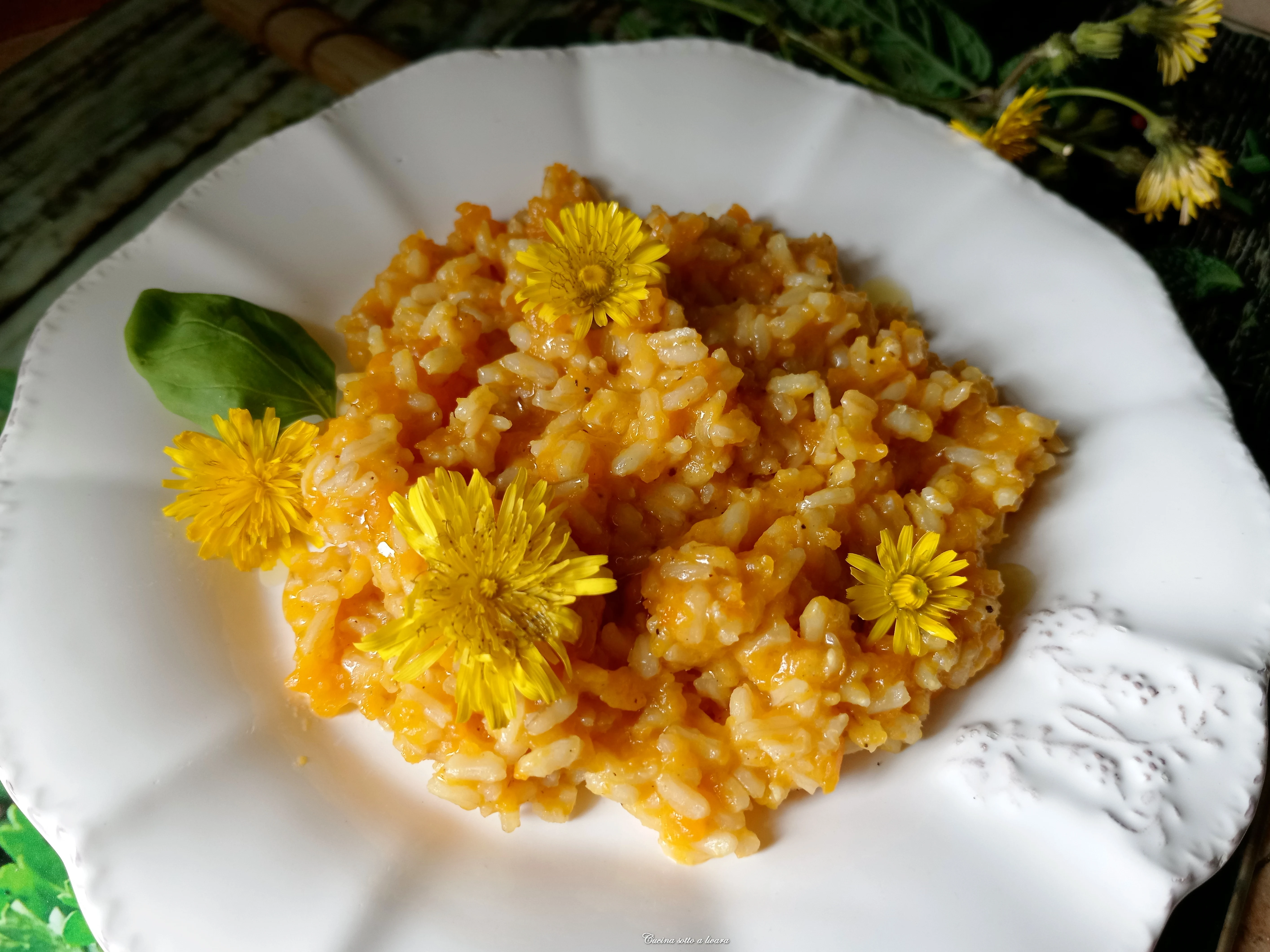 Riso integrale  , grano e avena con zucca butternut , caprino e tarassaco