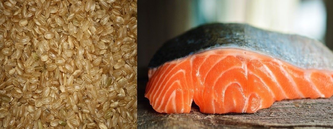 Salmone al forno su letto di riso integrale: ricetta wineandfoodtour