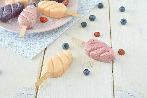Sorbetto di frutta su stecco