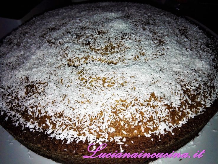 Super torta alla nutella e cocco rapé