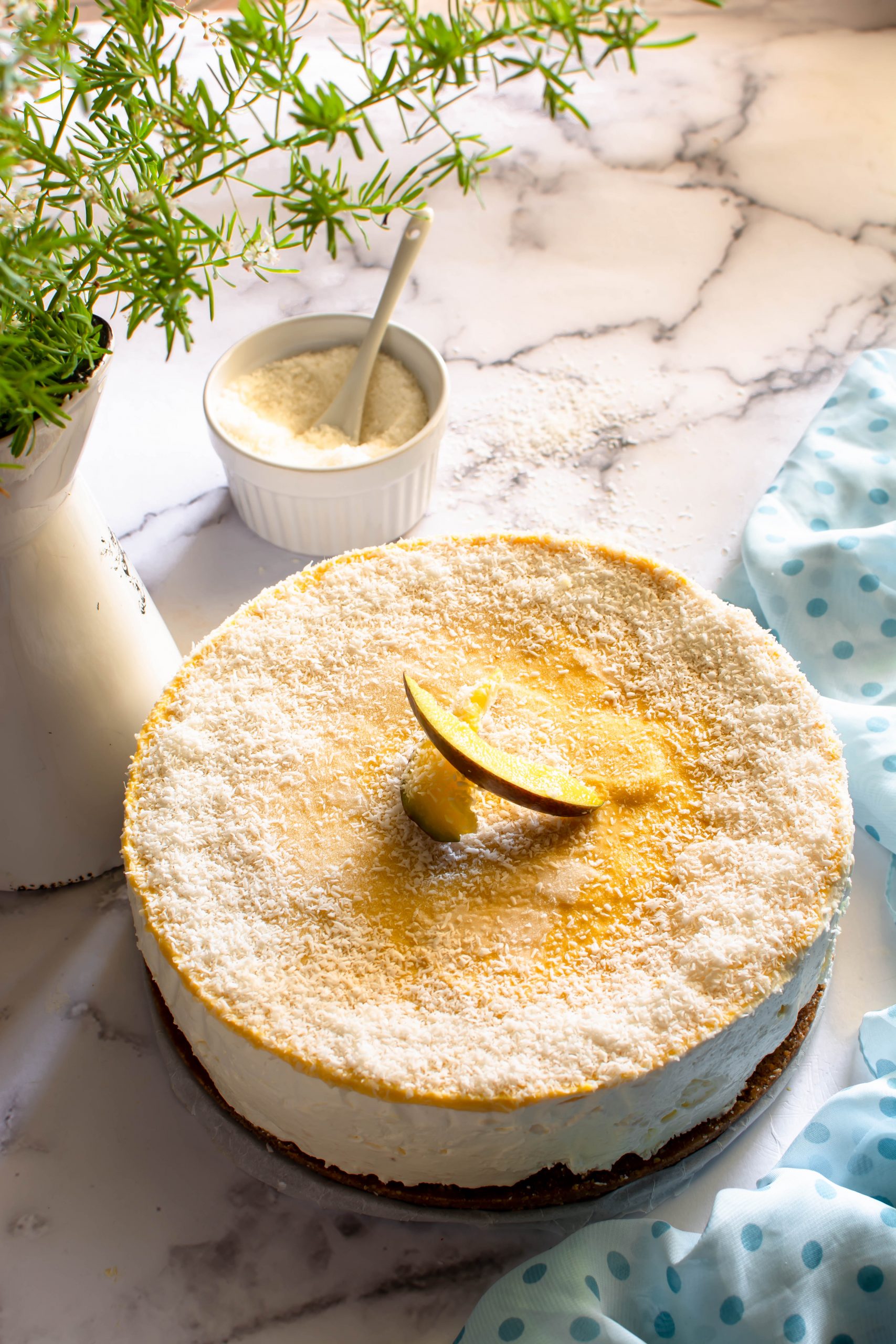 Torta gelato extra cocco con sorbetto al mango