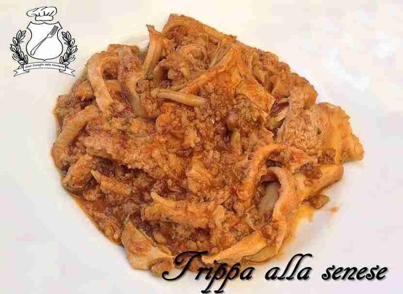 Trippa alla senese