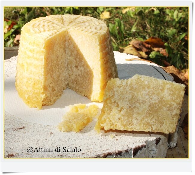 Vrana padano
