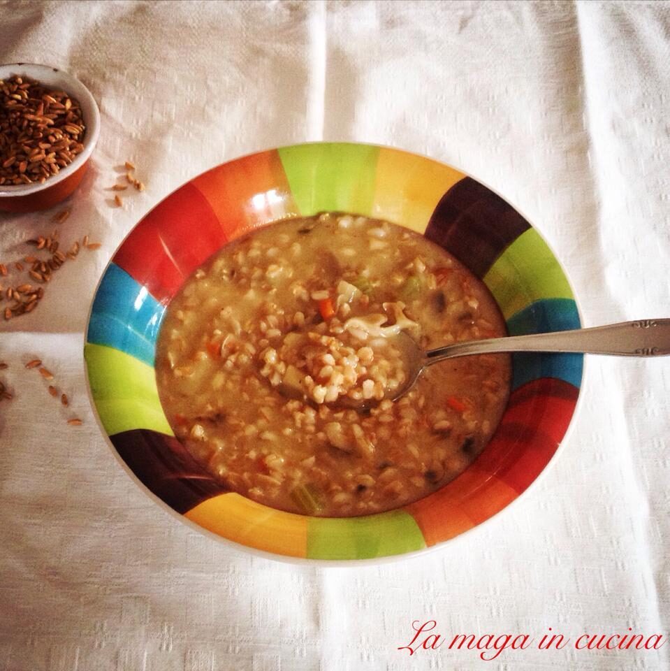 Zuppa di farro e funghi