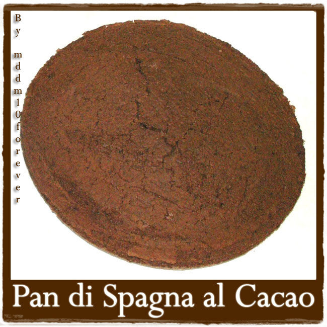 Pan di spagna al cacao