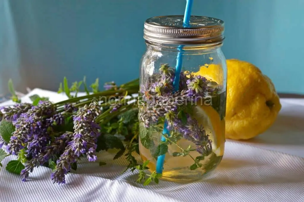 Acqua aromatizzata lavanda, menta e cedro: il toccasana dell’estate