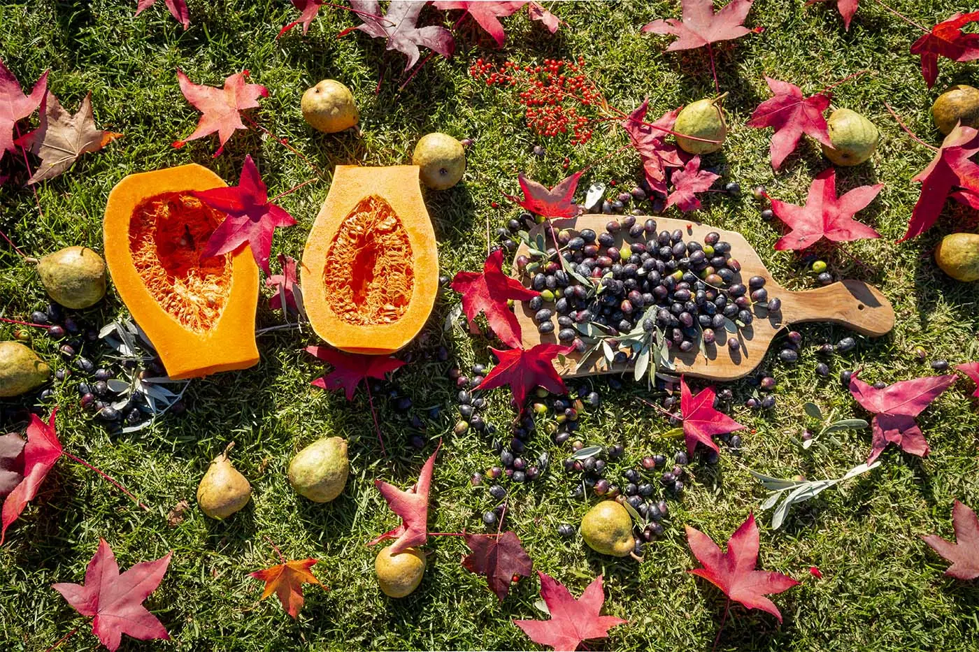 Autunno in lombardia: la stagione dell’abbondanza e della raccolta