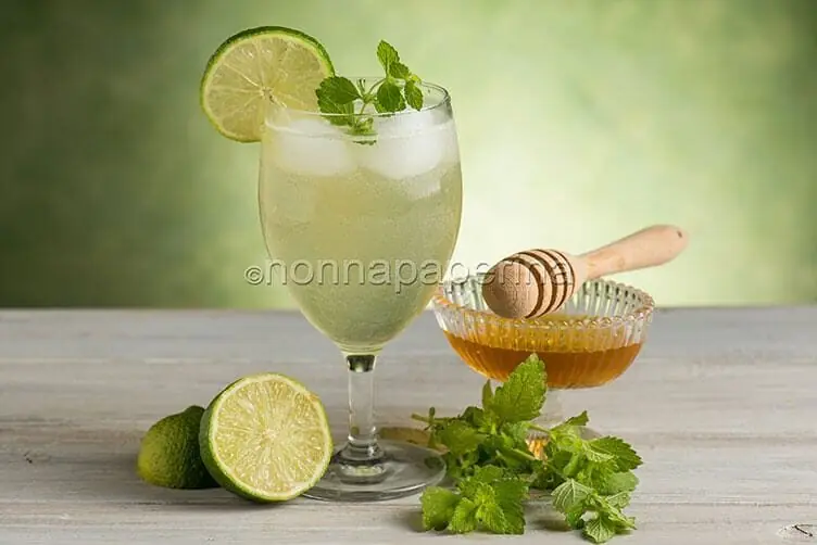 Bevanda alla melissa, un cocktail analcolico per tutti