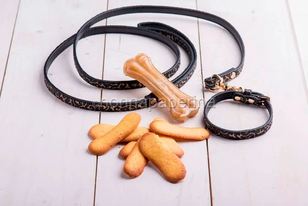 Biscotti per cani senza glutine e lattosio: un dolcetto anche per loro!
