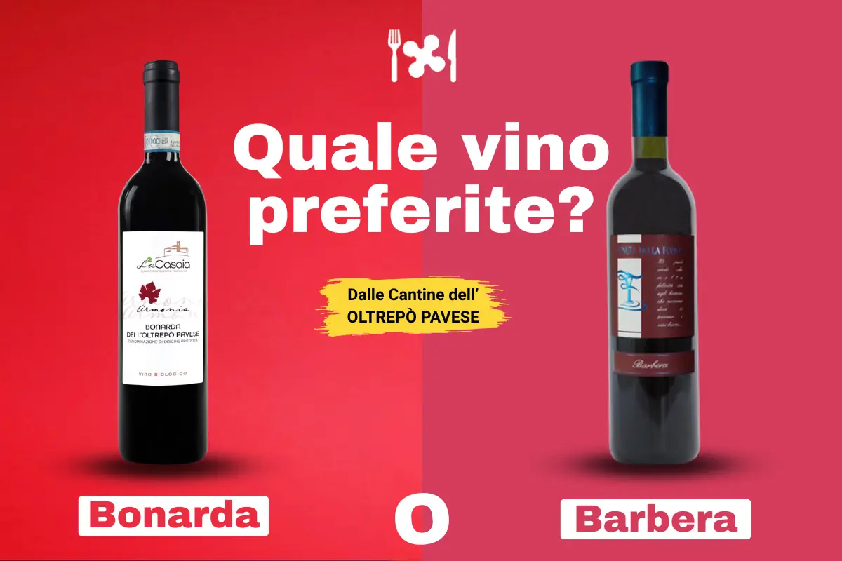 Bonarda o barbera? la sfida dei vini dell’oltrepò pavese