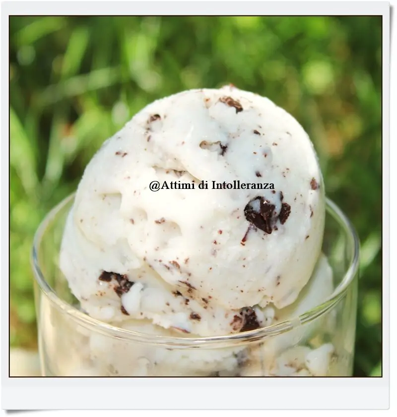 Gelato stracciatella vegano