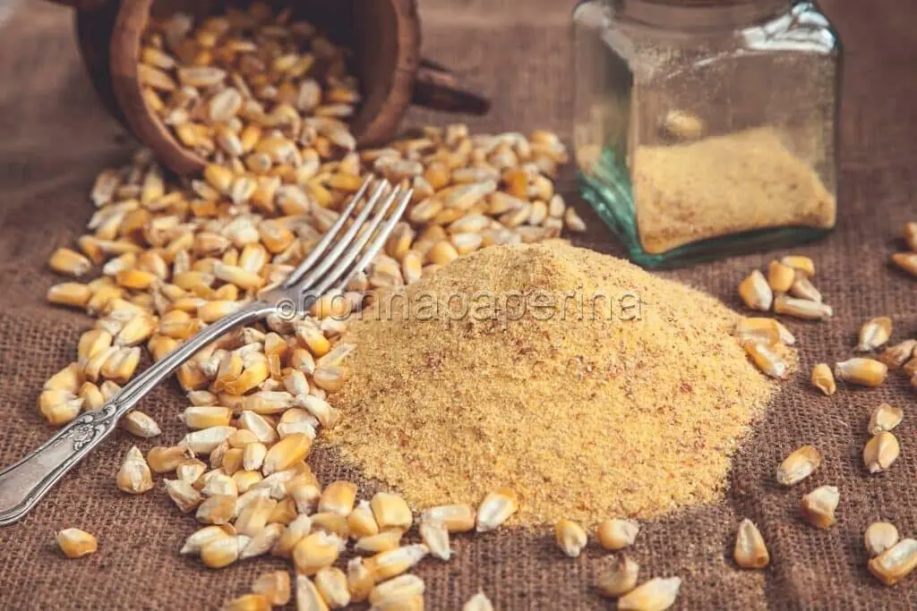 Gnocchetti di polenta e gorgonzola, un primo rustico