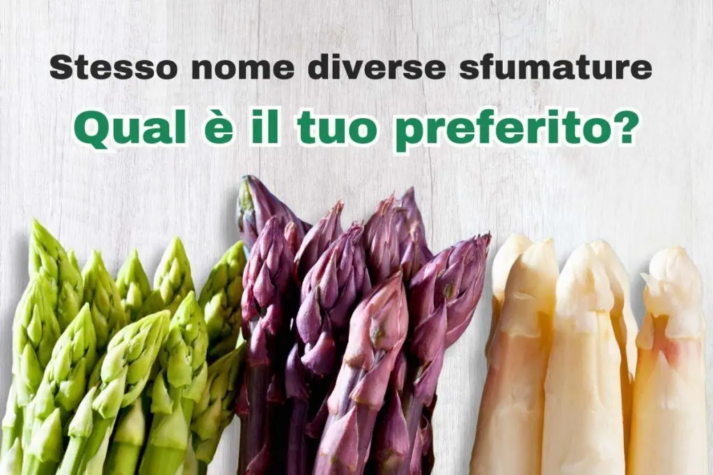 Le 4 varietà di asparagi da conoscere assolutamente per gustarli al meglio