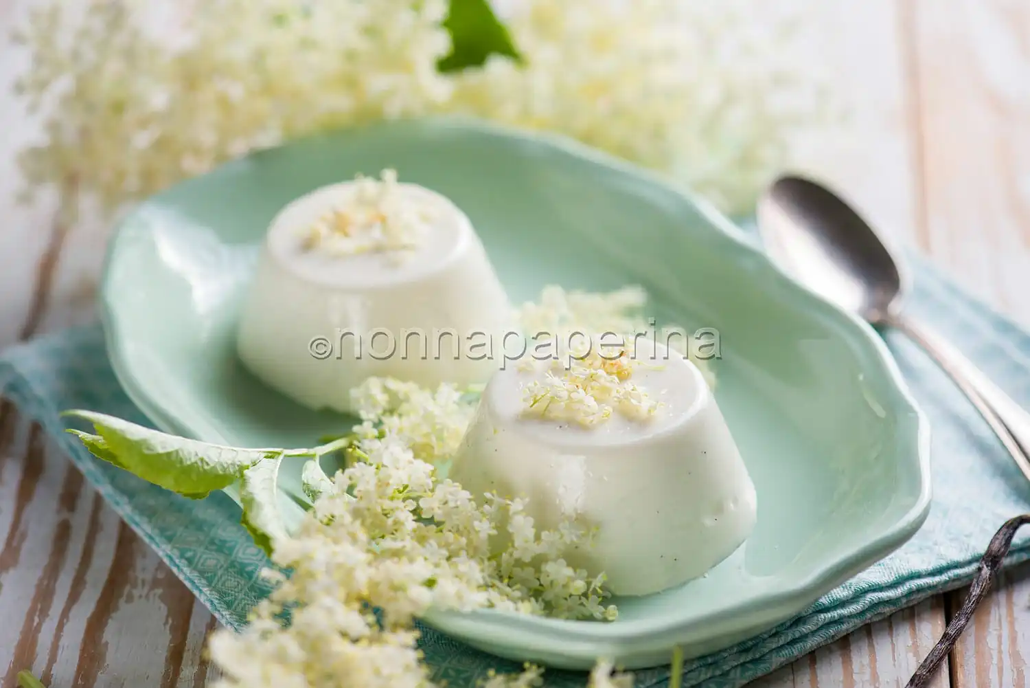 Panna cotta ai fiori di sambuco, un dessert profumato