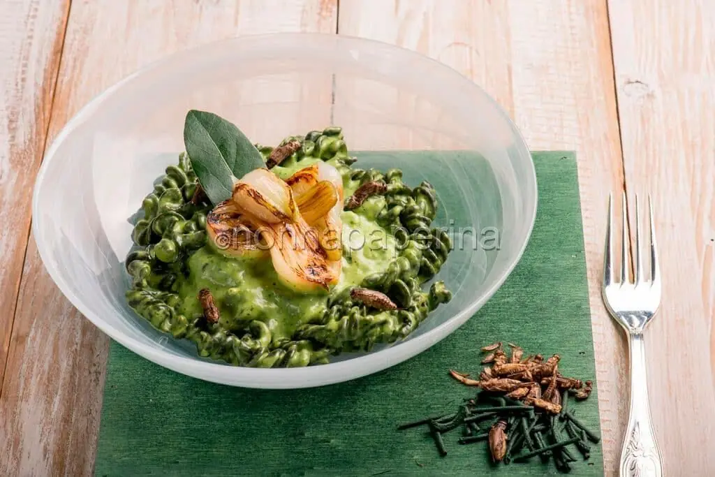 Pasta con alga spirulina, crema di basilico e grilli: grande valore proteico