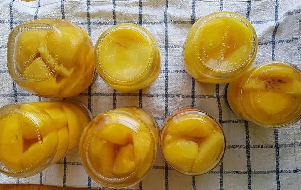 Pesche sciroppate