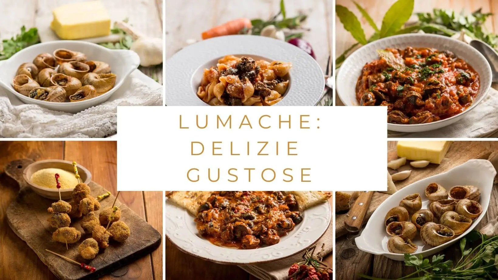 Ricette con le lumache: una guida per cucinarle e prepararle