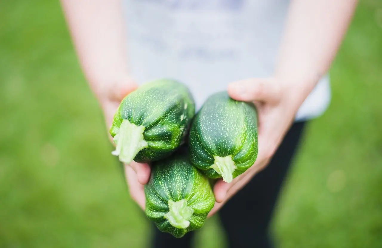 Sformato di zucchine