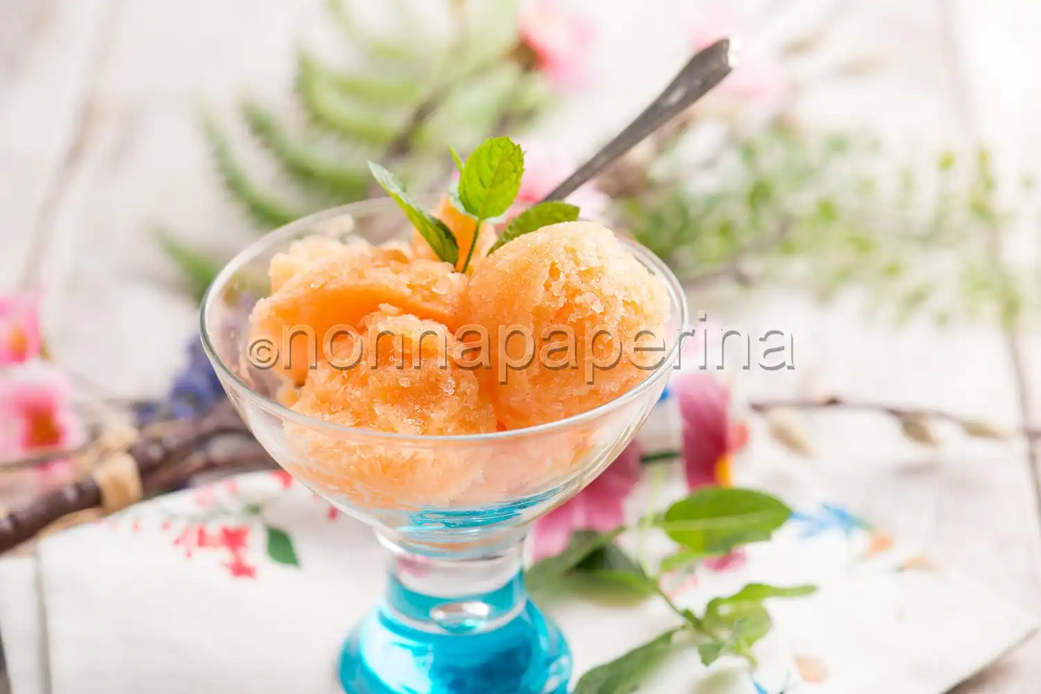 Sorbetto al melone, fine pasto colorato e gustoso