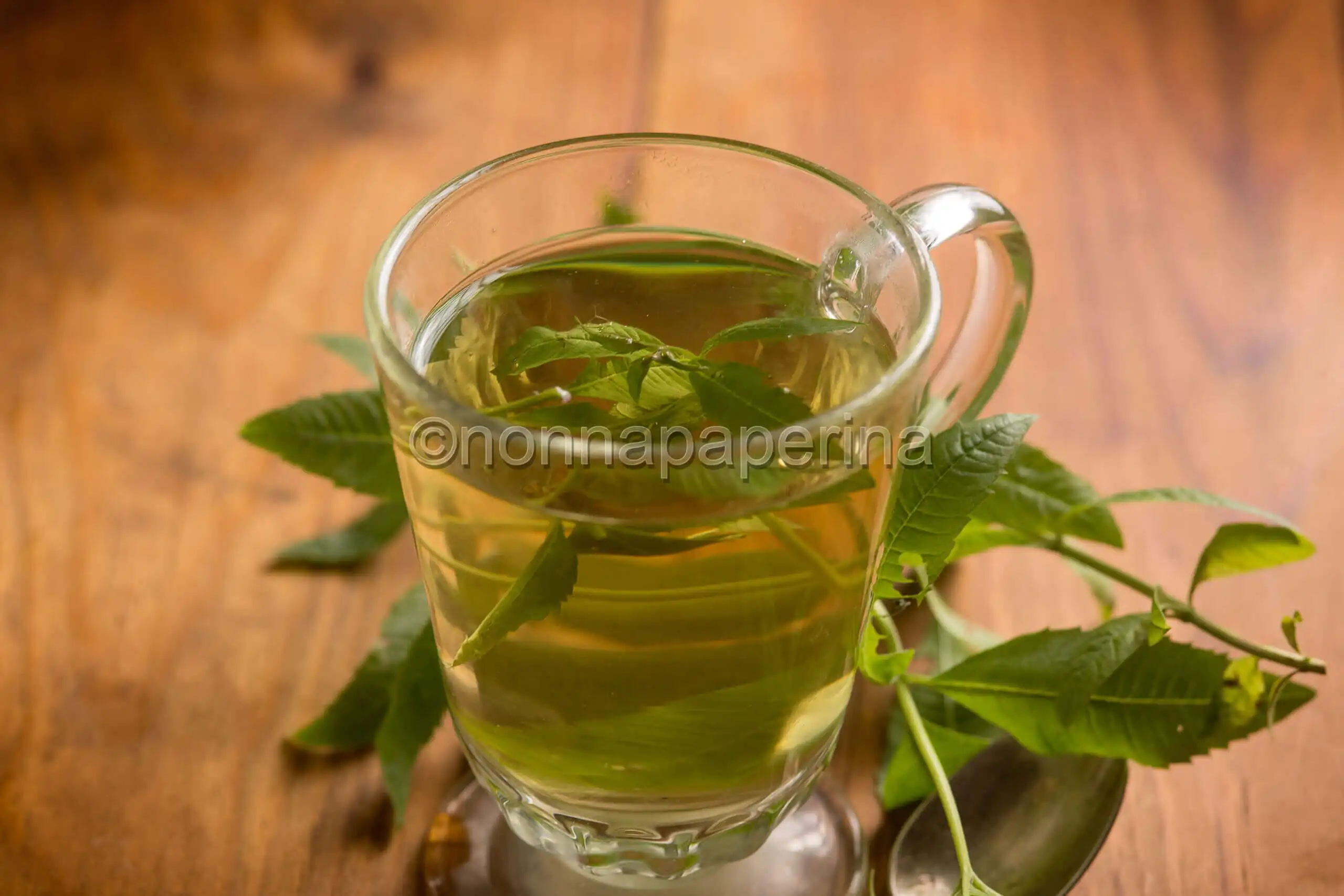 Tisana rinfrescante con erba cedrina, un delizioso sollievo
