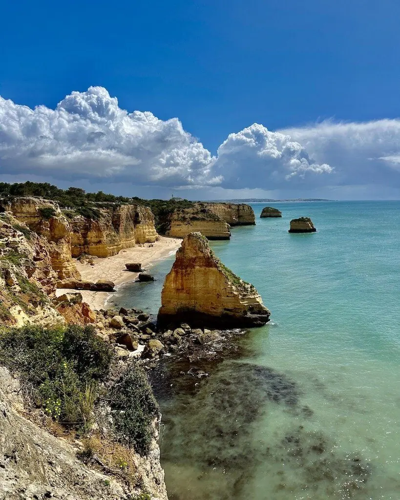 Vegan eats in lisbon and the algarve: a journey through vegan restaurants and cooking on the road