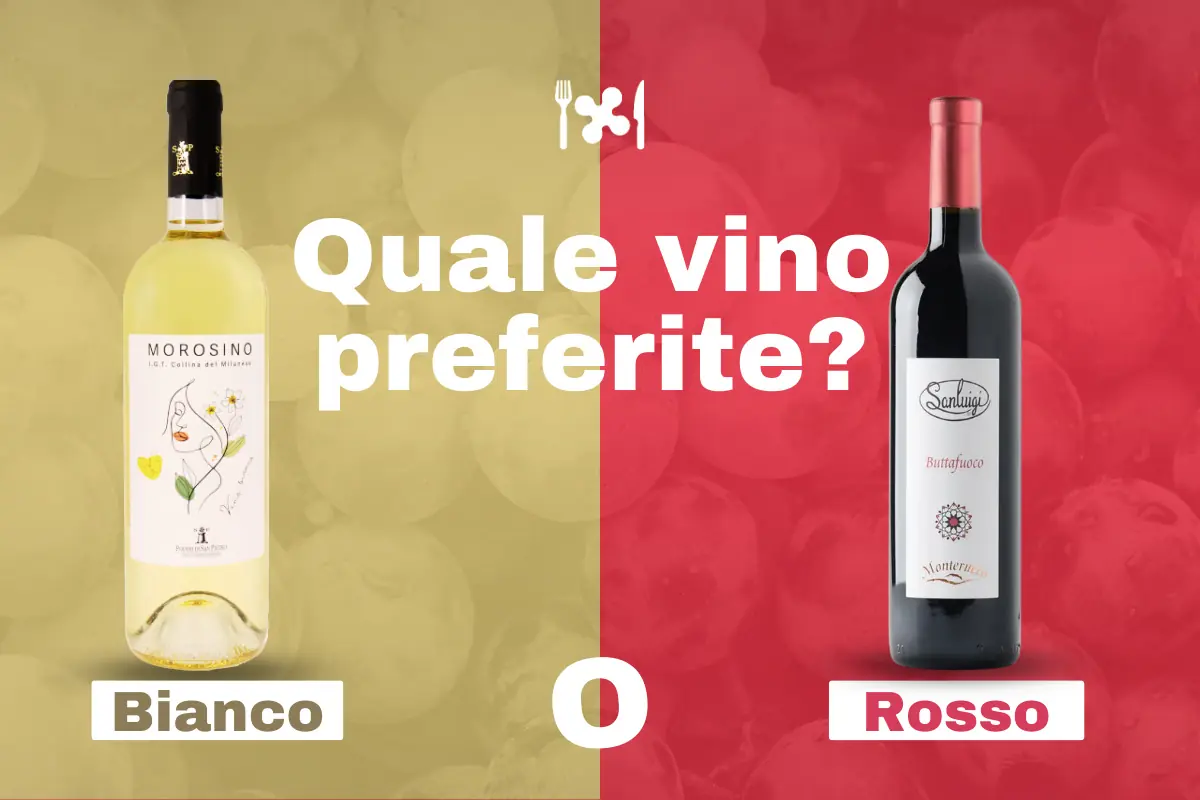 Vino bianco o vino rosso?