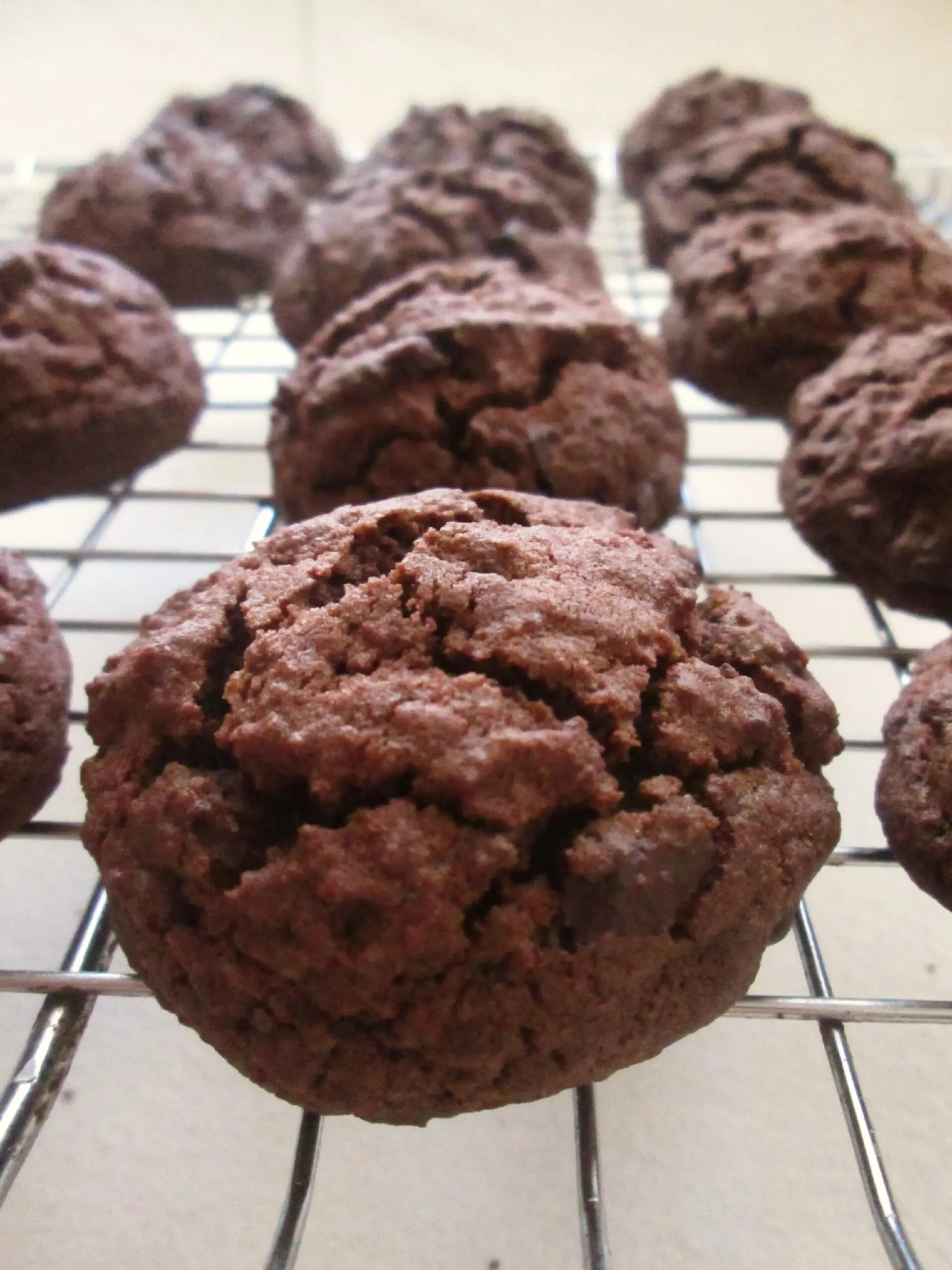 Cookies al cioccolato senza glutine