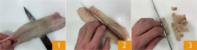 Paccheri alla crema di ricotta e tarassaco con tartare di branzino