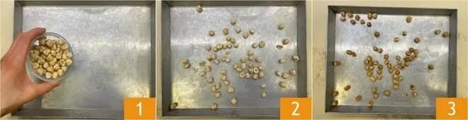 Pasta nocciole e toma