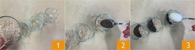 Porridge vegano