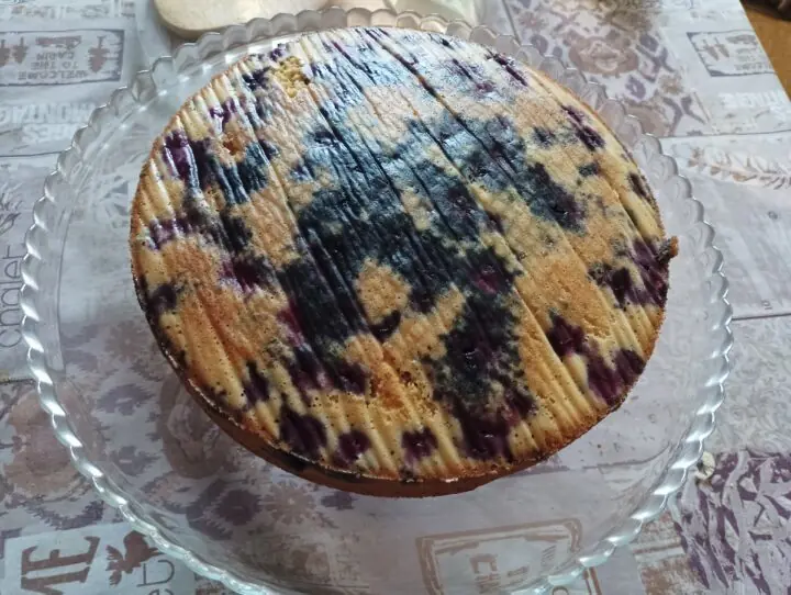 Torta allo yogurt con mirtilli