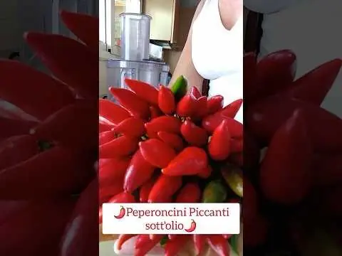 Peperoncini piccanti sott’olio – condimento al peperoncino