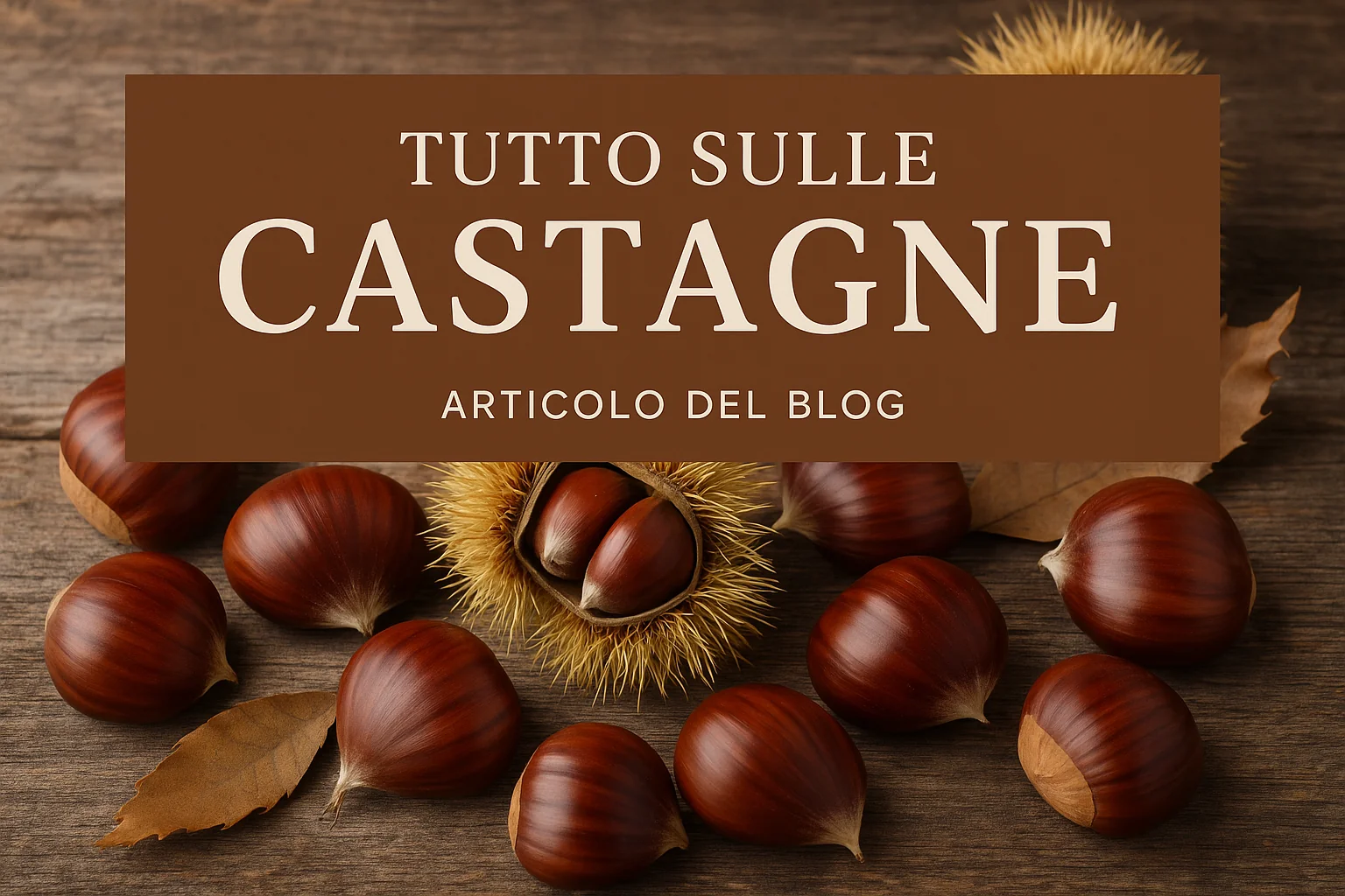 Tutto sulle castagne: come cuocerle, conservarle e dove trovarle