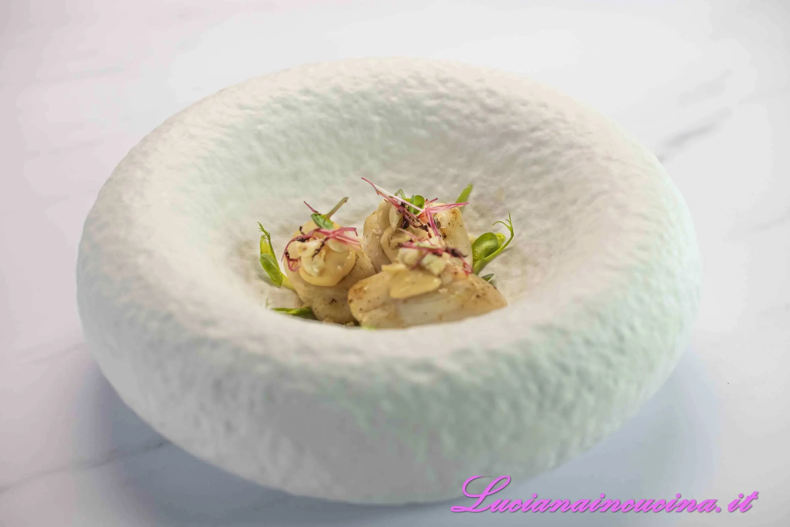 Capesante scottate con maionese di corallo