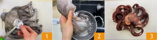 Paccheri polpo e patate