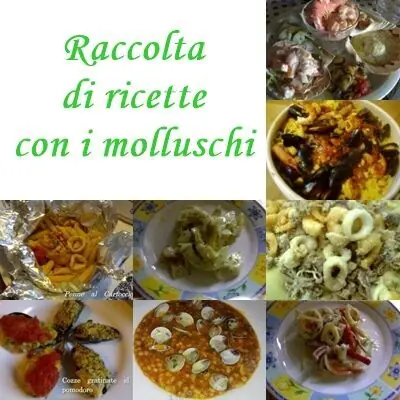 Raccolta di ricette con i molluschi marini